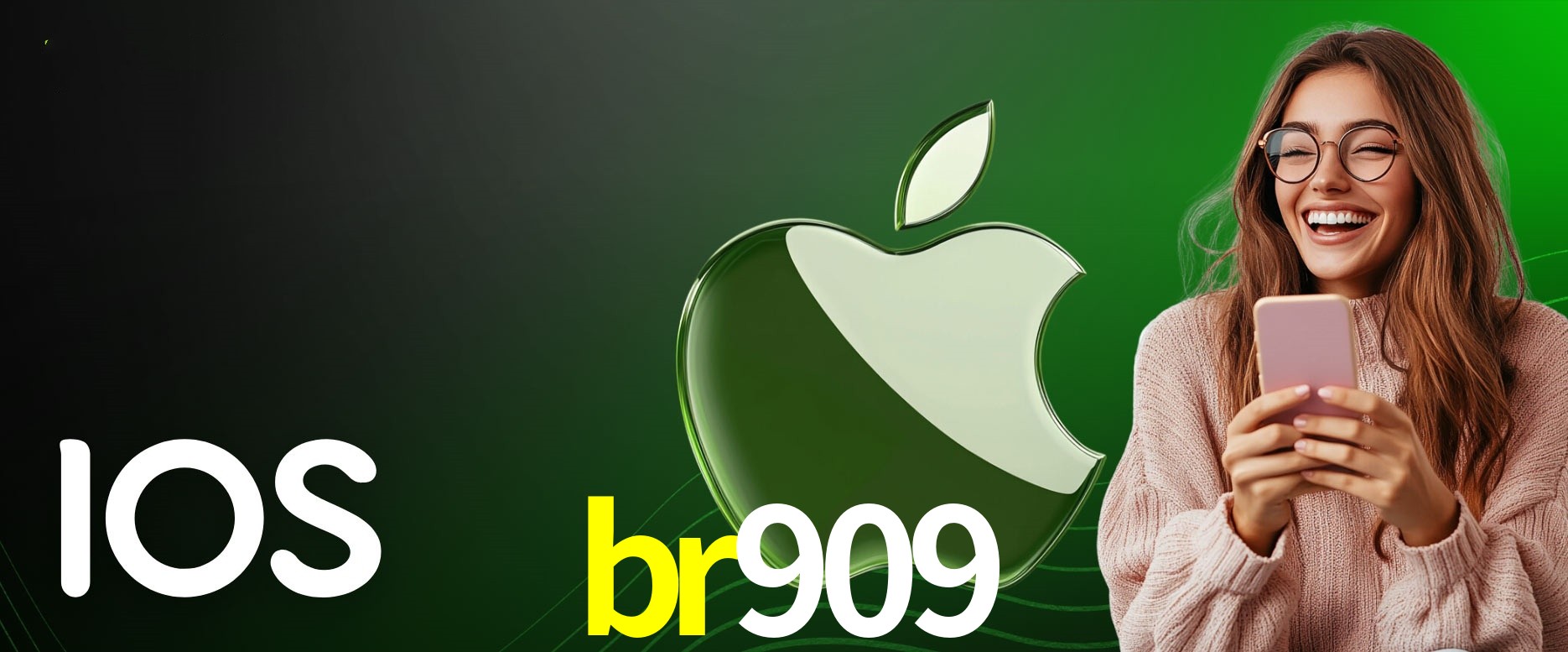 Security Systems br909